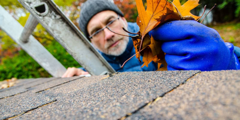 Gutter Cleaning in Bryan, Texas