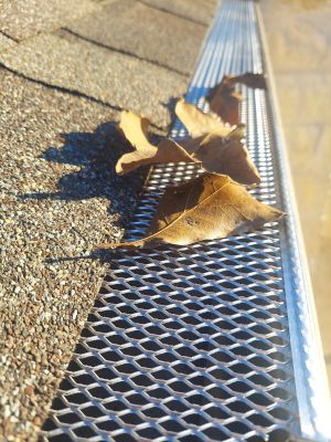 Leaf Guards in Bryan, Texas